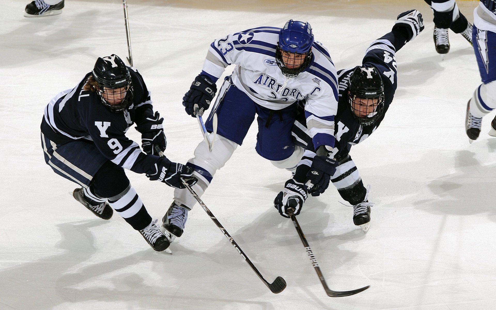 球迷粉丝文化：从应援到全民篮球热潮的转变，粉丝应援球星能有多疯狂